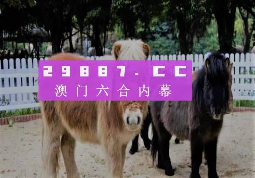2024澳门买马最准网站,高效运行支持_互联版23.643