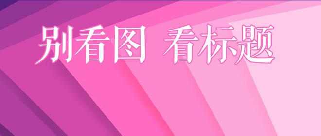 预情最新通知详解，任务完成与技能学习步骤指南