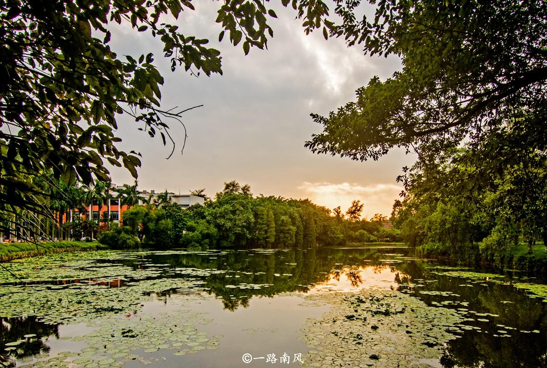 华南海域最新天气报告，探索自然美景之旅，寻求内心宁静与平和的旅程