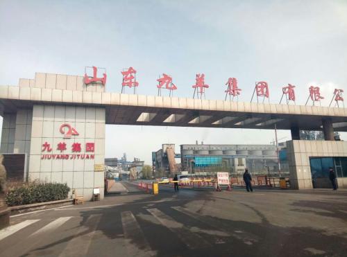 山东九羊公司蓬勃发展，引领行业新潮流，最新消息揭秘发展动态