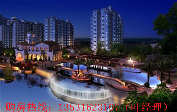 大亚湾罗建强最新消息，深度解析各方观点与个人立场阐述